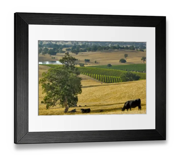 Framed Print : Australia. Mountadam vineyard winery on High Eden Road near Eden Valley Framed Print : Australia. Mountadam vineyard winery on High Eden Road near Eden Valley