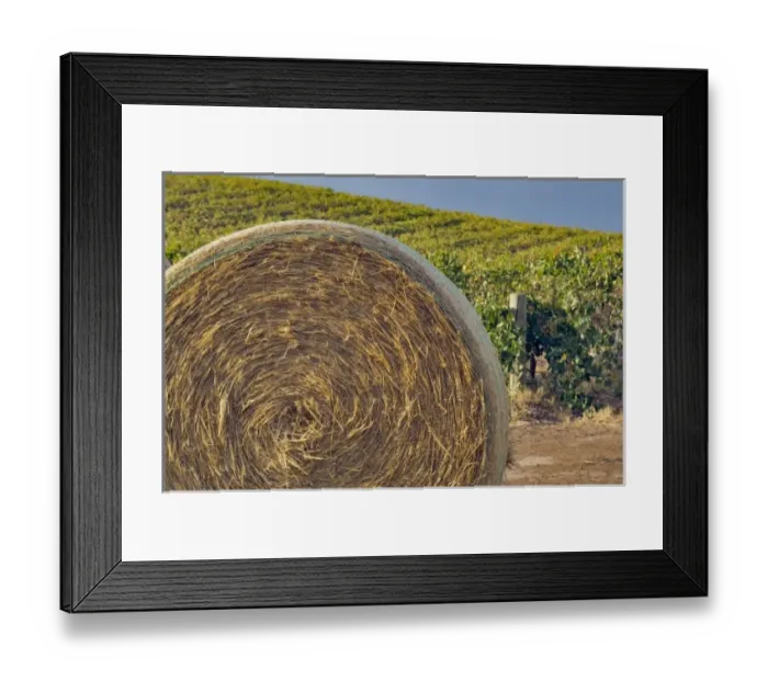 Framed Print : Australia, Barossa Valley. Large rolls of straw used for mulch in front of vineyard rows