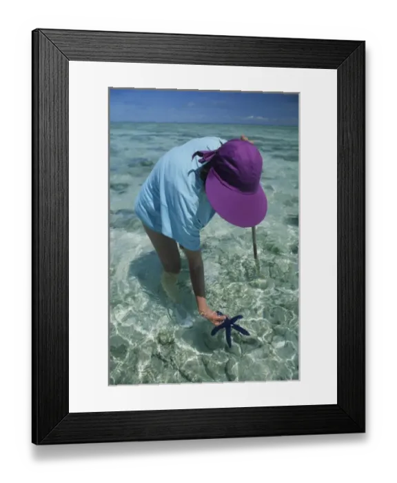 Framed Print : Australia, Barrier Reef, Heron Island, tourist explores reef, MR Framed Print : Australia, Barrier Reef, Heron Island, tourist explores reef, MR