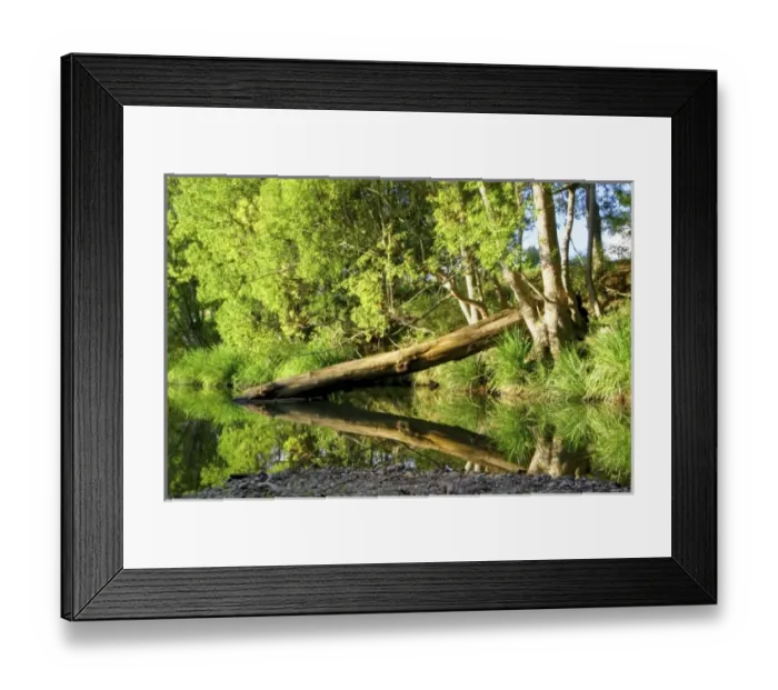Framed Print : Australia. Nimbin, Australia. A scenic river reflection in the countryside Framed Print : Australia. Nimbin, Australia. A scenic river reflection in the countryside