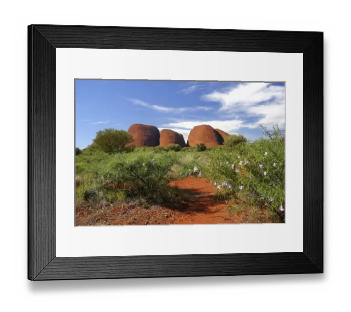 Framed Print : Northern Territory, Outback, Australia. Hiking through the Kata Tjuta national park Framed Print : Northern Territory, Outback, Australia. Hiking through the Kata Tjuta national park