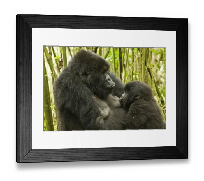 Framed Print : Africa, Rwanda Framed Print : Africa, Rwanda