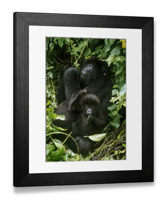 Framed Print : Africa, Rwanda