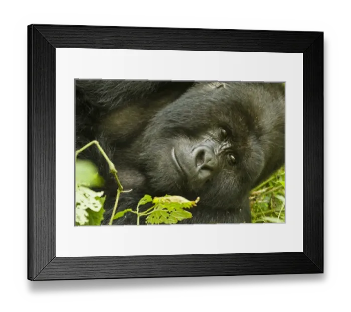 Framed Print : Africa, Rwanda