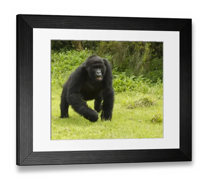 Framed Print : Africa, Rwanda Framed Print : Africa, Rwanda