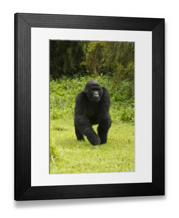 Framed Print : Africa, Rwanda