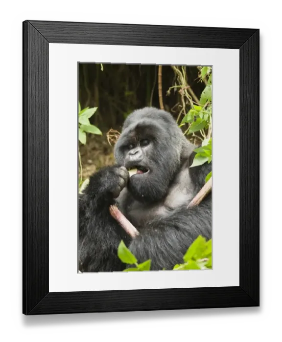 Framed Print : Africa, Rwanda