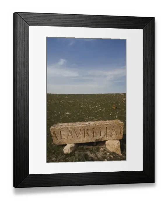 Framed Print : Tunisia, Central Western Tunisia, Makthar, ruins of the Roman-era city of Mactaris Framed Print : Tunisia, Central Western Tunisia, Makthar, ruins of the Roman-era city of Mactaris