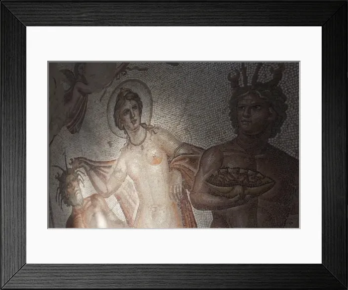 Framed Print : Tunisia, Northern Tunisia, Bulla Regia, ruins of underground Roman-era villas, House of Amphitrite