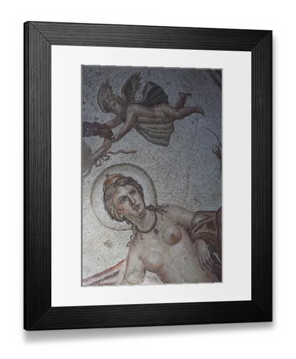 Framed Print : Tunisia, Northern Tunisia, Bulla Regia, ruins of underground Roman-era villas, House of Amphitrite Framed Print : Tunisia, Northern Tunisia, Bulla Regia, ruins of underground Roman-era villas, House of Amphitrite