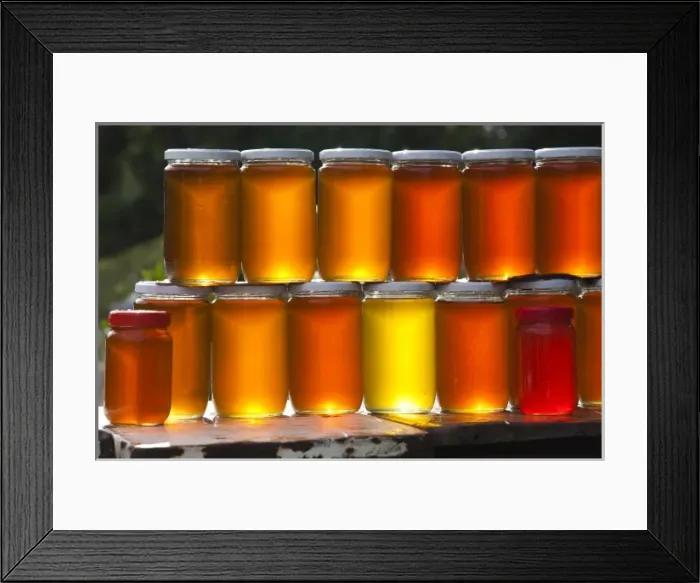 Framed Print : Tunisia, Northern Tunisia, Nefza, local honey Framed Print : Tunisia, Northern Tunisia, Nefza, local honey