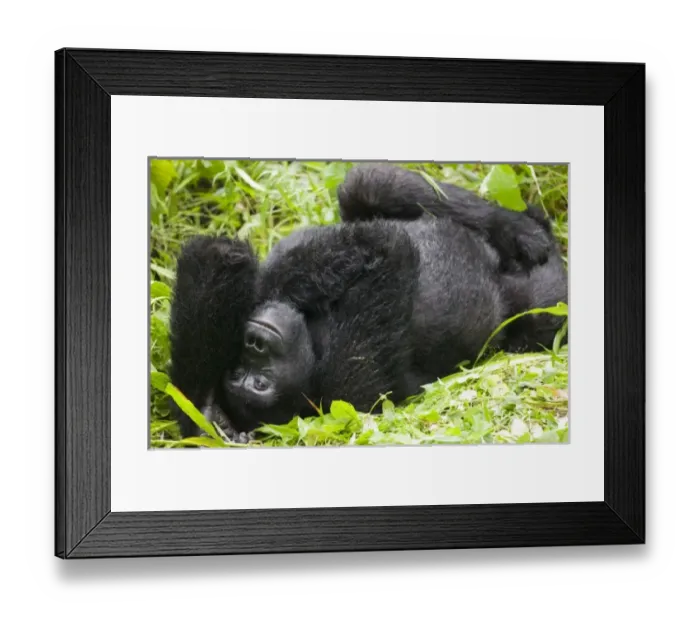 Framed Print : Africa, Uganda