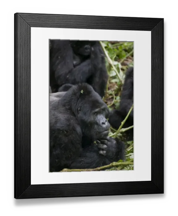 Framed Print : Africa, Uganda Framed Print : Africa, Uganda