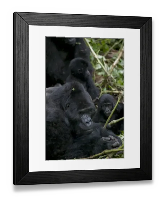 Framed Print : Africa, Uganda Framed Print : Africa, Uganda