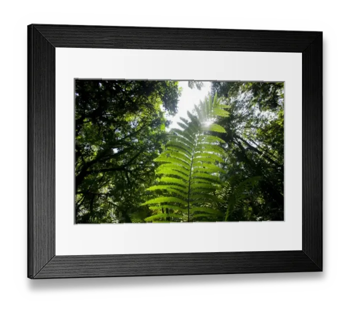 Framed Print : Africa, Uganda