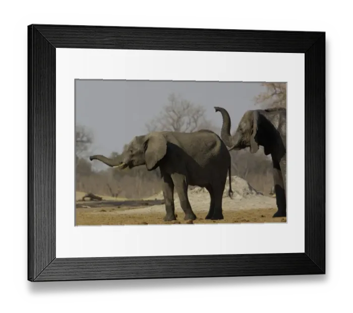 Framed Print : Africa, Zimbabwe Framed Print : Africa, Zimbabwe
