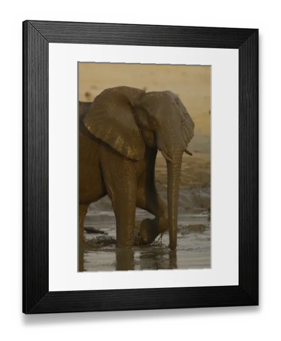 Framed Print : Africa, Zimbabwe