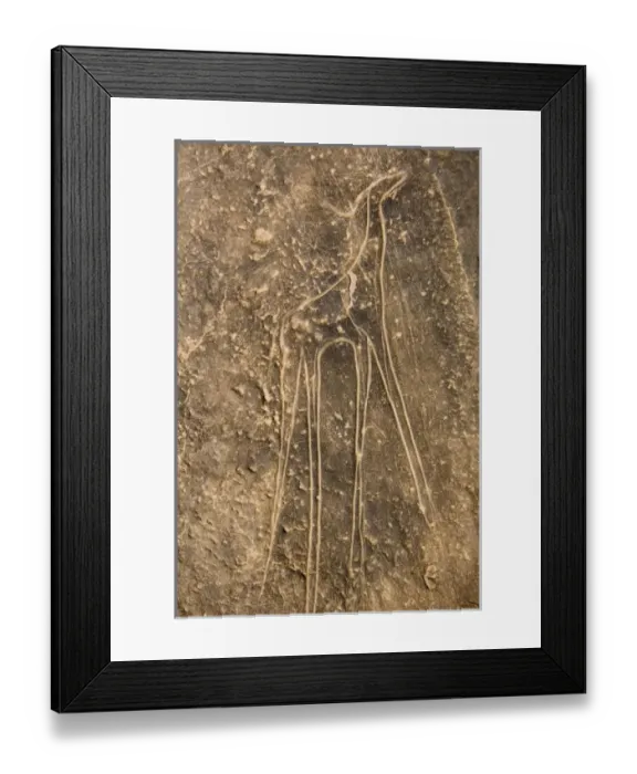 Framed Print : Libya, Fezzan, Abaho prehistoric engraving Framed Print : Libya, Fezzan, Abaho prehistoric engraving