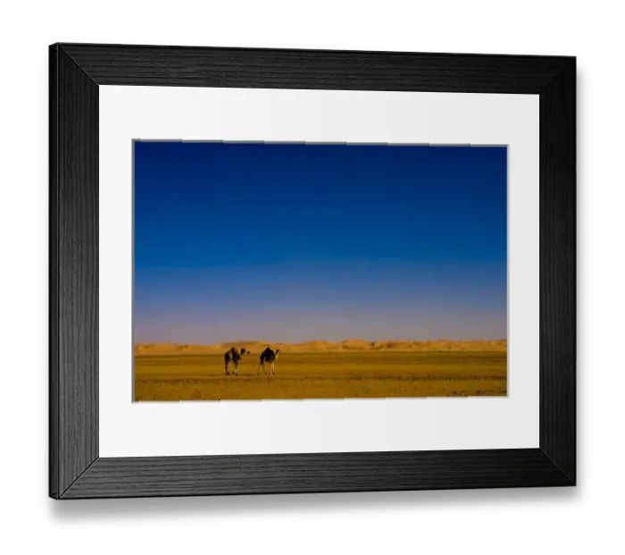 Framed Print : Canada, Pacific Rim National Park Reserve; West Coast Trail, Sunrise from Cribs Creek Framed Print : Canada, Pacific Rim National Park Reserve; West Coast Trail, Sunrise from Cribs Creek