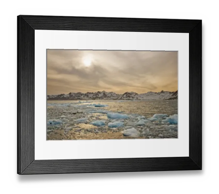 Framed Print : Antarctic, Sub Antarctic Island Framed Print : Antarctic, Sub Antarctic Island