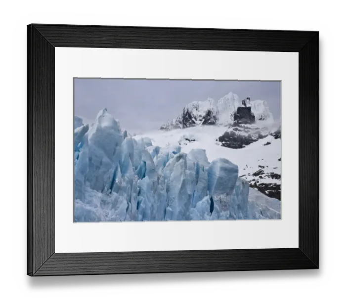 Framed Print : UK Territory, South Georgia Island. View of Harmer Glacier and Starbuck Peak Framed Print : UK Territory, South Georgia Island. View of Harmer Glacier and Starbuck Peak