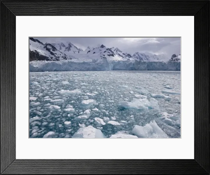 Framed Print : UK Territory, South Georgia Island, Iris Bay. Sea ice in front of Herz Glacier
