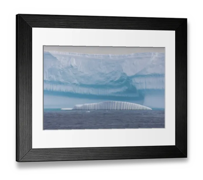 Framed Print : iceberg in front of a glacier, western Antarctic peninsula, Antarctica, Southern Ocean