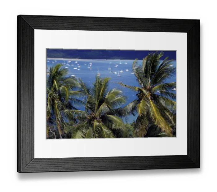 Framed Print : Australia, Queensland. Overview of Shute Harbour, a favorite haven for yachts cruising