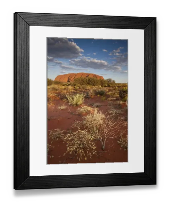 Framed Print : Australia, Northern Territory, Uluru-Kata Tjuta National Park. Setting sun lights Framed Print : Australia, Northern Territory, Uluru-Kata Tjuta National Park. Setting sun lights