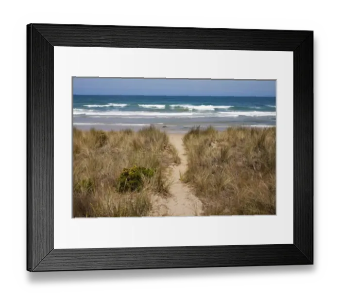 Framed Print : Australia, Victoria, Morning sun lights sandy path through grassy beach along Great Framed Print : Australia, Victoria, Morning sun lights sandy path through grassy beach along Great