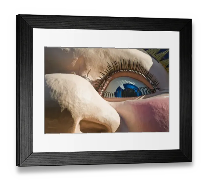 Framed Print : Australia, New South Wales (NSW), North Sydney. Luna Park Amusement Park entrance