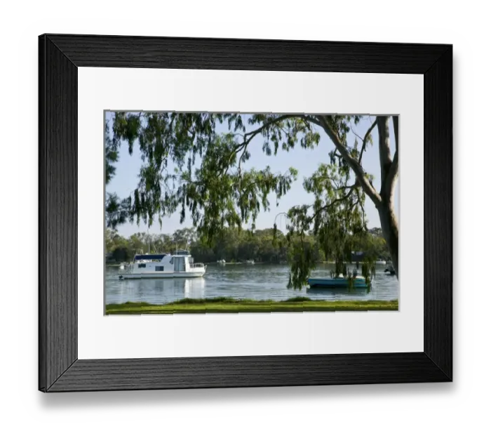Framed Print : Australia, Queensland, Sunshine Coast, Noosa. Along the Noosa River / Morning Framed Print : Australia, Queensland, Sunshine Coast, Noosa. Along the Noosa River / Morning