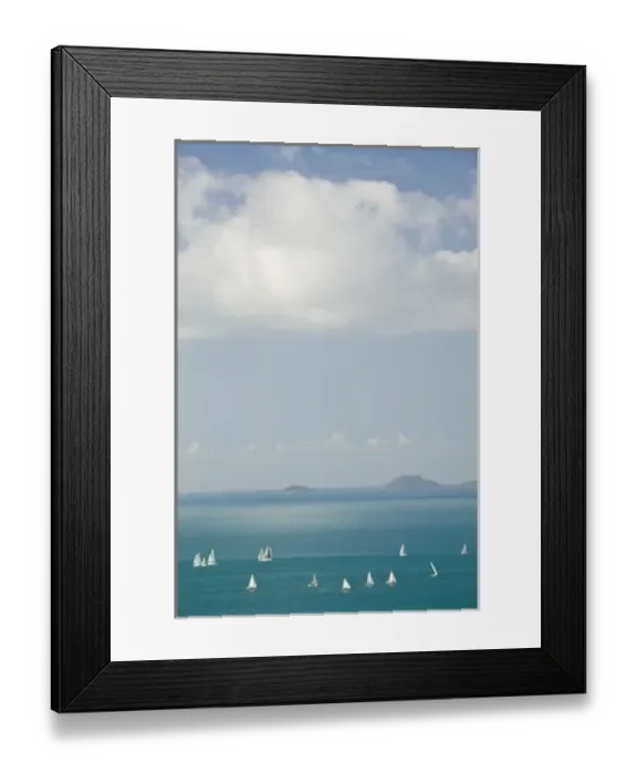 Framed Print : Australia, Queensland, Whitsunday Coast, Airlie Beach. Sailbots in the Harbor