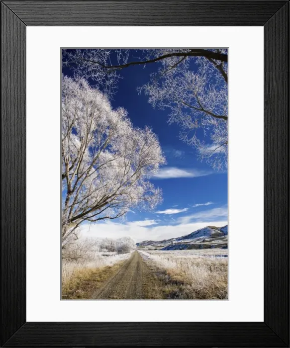 Framed Print : Hoar Frost and Otago Central Rail Trail near Oturehua, Central Otago, South Island Framed Print : Hoar Frost and Otago Central Rail Trail near Oturehua, Central Otago, South Island