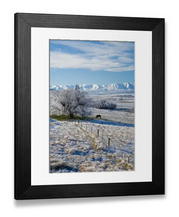 Framed Print : Hoar Frost and Farmland near Poolburn, Central Otago, South Island, New Zealand Framed Print : Hoar Frost and Farmland near Poolburn, Central Otago, South Island, New Zealand