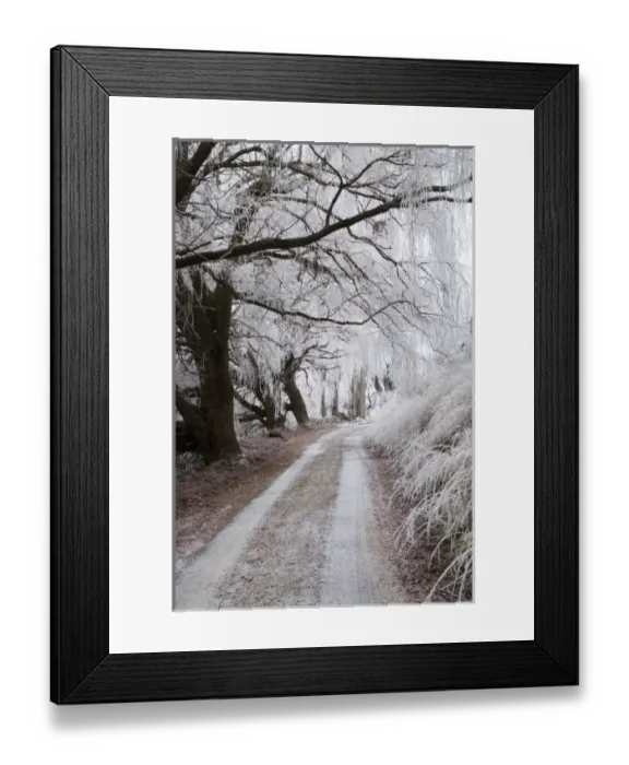 Framed Print : Hoar Frost and Road by Butchers Dam, near Alexandra, Central Otago, South Island