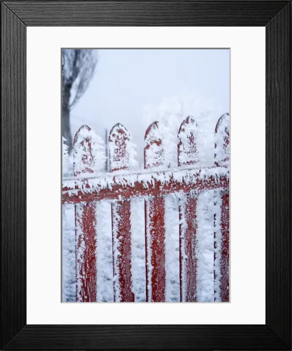 Framed Print : Frost on Gate, Mitchells Cottage and Hoar Frost, Fruitlands, near Alexandra, Central Otago