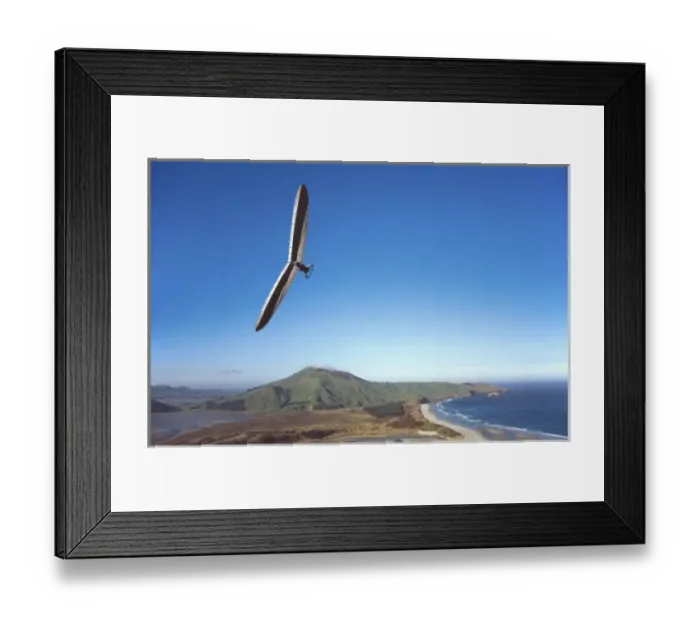 Framed Print : Hang Glider & Otago Peninsula