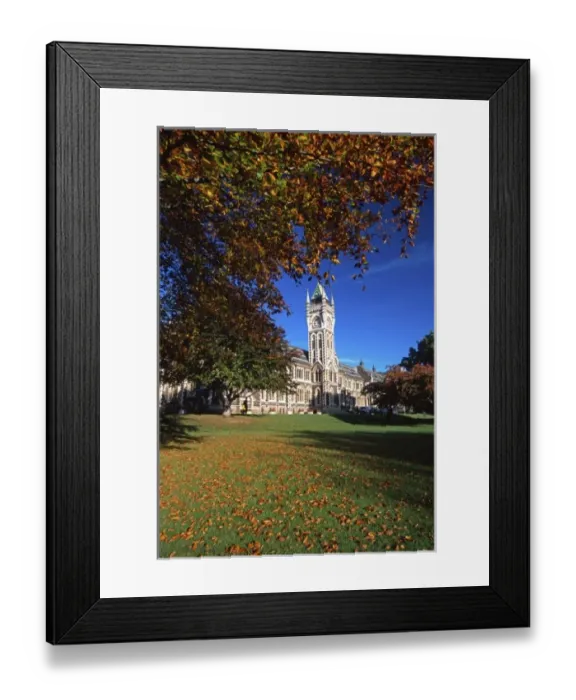 Framed Print : University of Otago, Dunedin, New Zealand Framed Print : University of Otago, Dunedin, New Zealand
