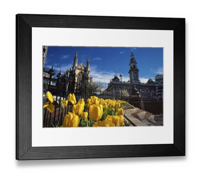 Framed Print : Municipal Chambers and St Pauls, Octagon, Dunedin, New Zealand Framed Print : Municipal Chambers and St Pauls, Octagon, Dunedin, New Zealand