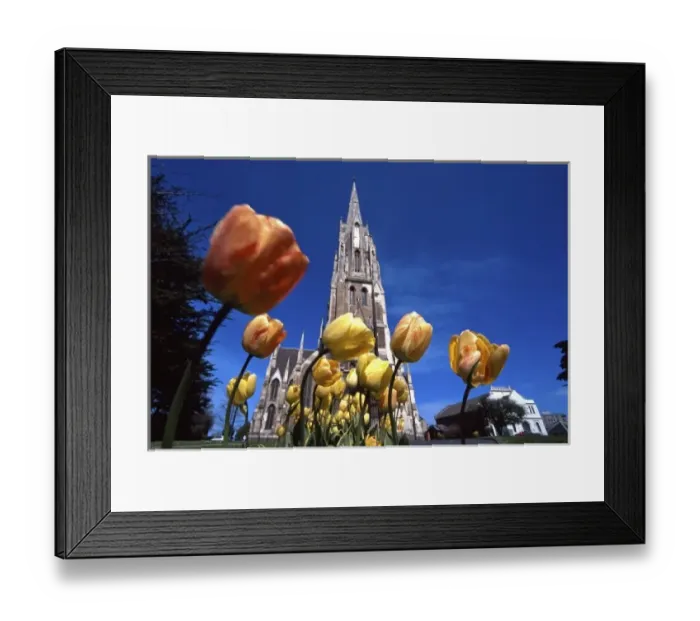 Framed Print : First Church, Dunedin, New Zealand Framed Print : First Church, Dunedin, New Zealand