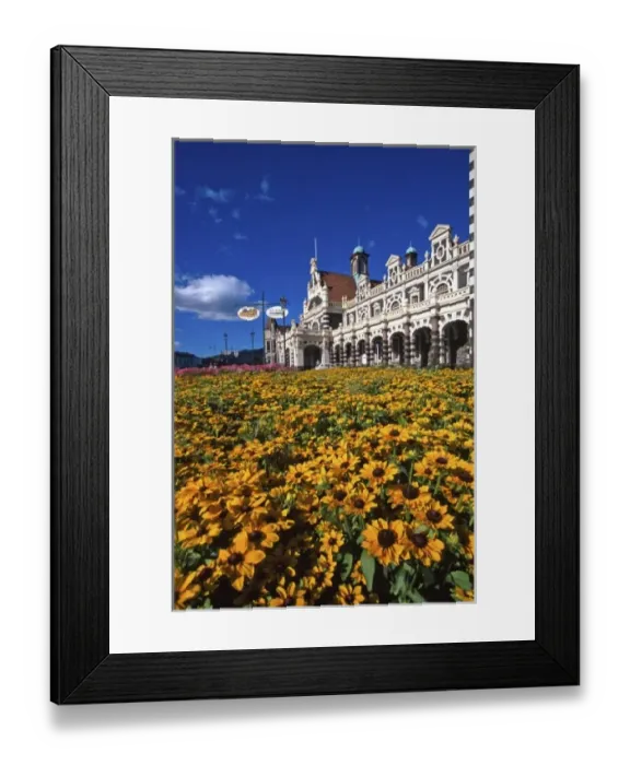 Framed Print : Historic Railway Station, Dunedin, New Zealand Framed Print : Historic Railway Station, Dunedin, New Zealand