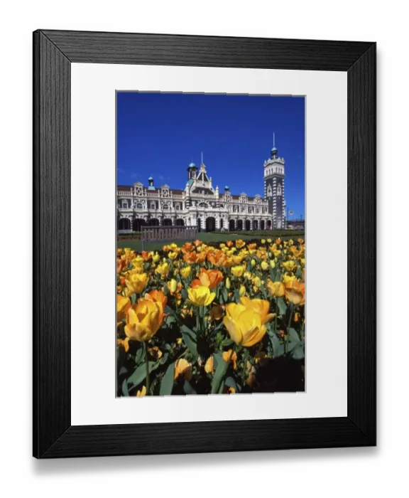 Framed Print : Historic Railway Station, Dunedin, New Zealand Framed Print : Historic Railway Station, Dunedin, New Zealand