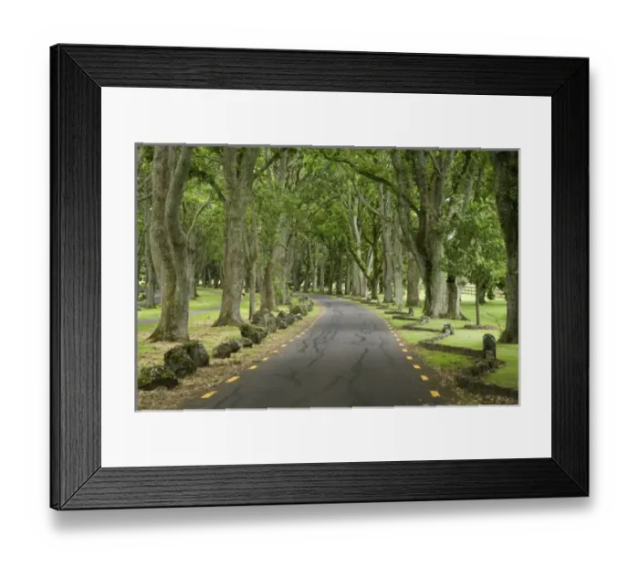 Framed Print : New Zealand Framed Print : New Zealand