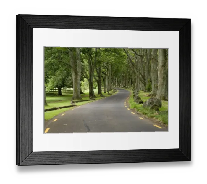 Framed Print : New Zealand Framed Print : New Zealand