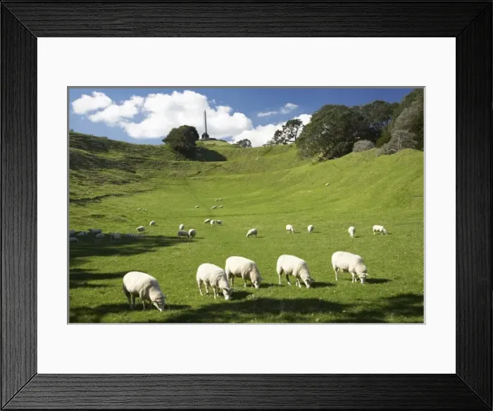 Framed Print : New Zealand