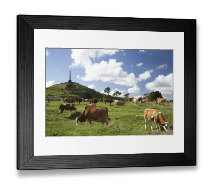 Framed Print : New Zealand Framed Print : New Zealand