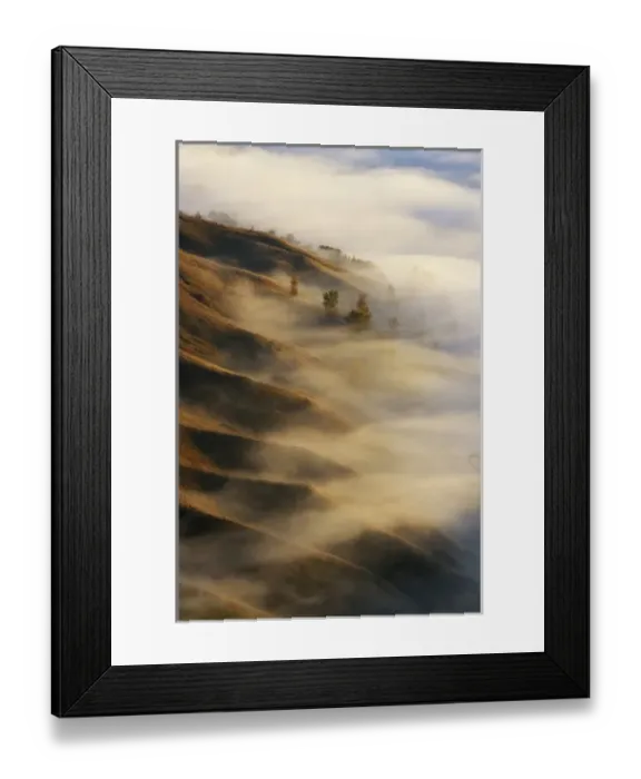 Framed Print : New Zealand