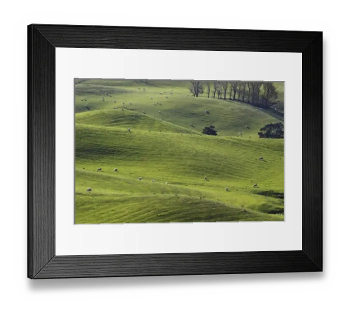 Framed Print : New Zealand Framed Print : New Zealand