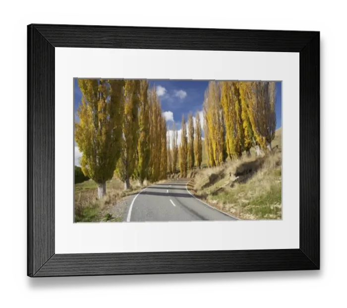 Framed Print : New Zealand Framed Print : New Zealand